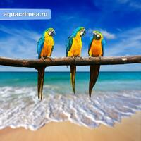 Шторка в ванную комнату, фотопечать "ПОПУГАИ"